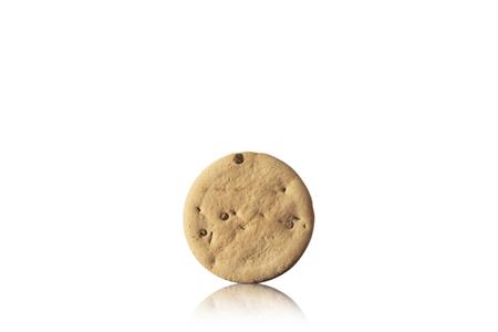 BISCOTTO CIOCCOGEL KG 5.2
