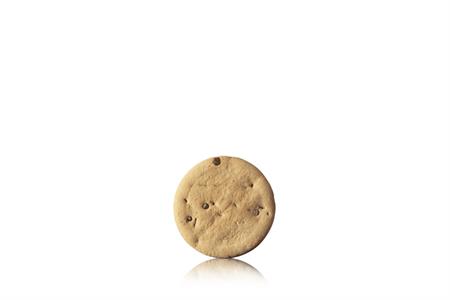 BISCOTTO MINI CIOCCOGEL KG 4.8
