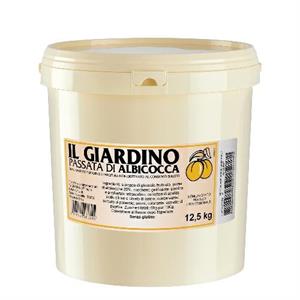 PASSATA ALBICOCCA IL GIARDINO KG 12.5