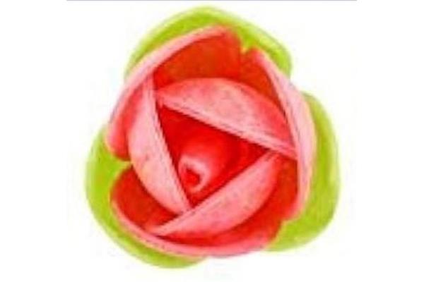 ROSE ROSSE C/FOGLIE PZ 180