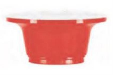 COPPETTA RAINBOW 100CC ROSSA 100PZ