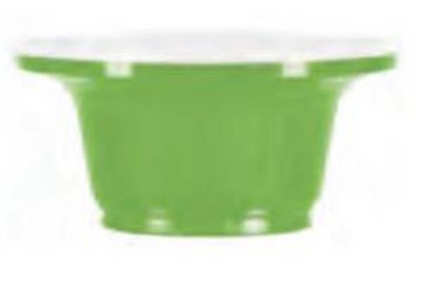 COPPETTA RAINBOW 160CC VERDE 100PZ