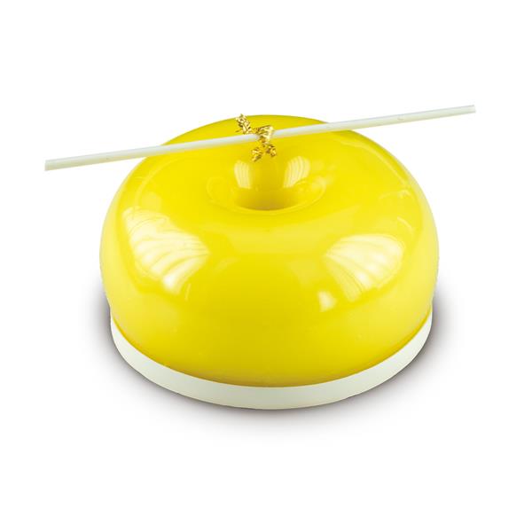 SMART GLAZE LIMONE KG 3