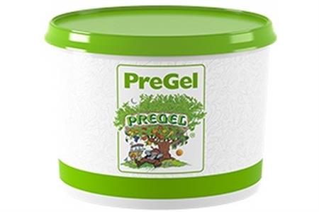 PASTA ZUPPA INGLESE N PREGEL KG 3