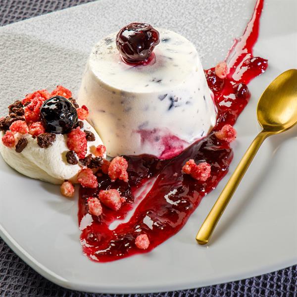 BASE PRONTO SEMIFREDDO KG 1.5