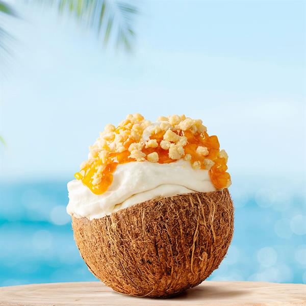 CRUMBOLE' COCCO GLUTEN FREE KG 3.5