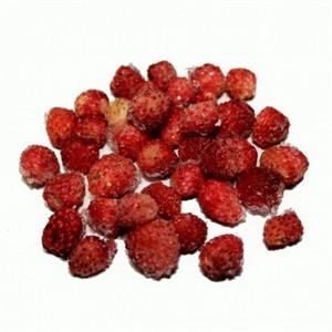 FRAGOLE DI BOSCO KG 2,5