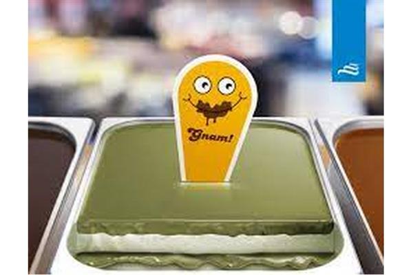 CREMA GNAM! PISTACCHIO KG 5
