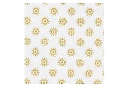 CARTA BIANCA 75X100 STELLINE KG 10