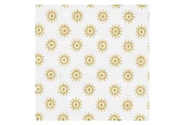 CARTA BIANCA 75X100 STELLINE KG 10