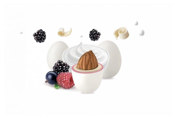 MAXTRIS YOGURT FRUTTI DI BOSCO KG 1