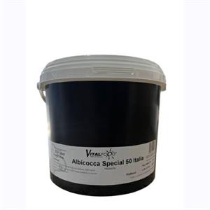 PASSATA ALBICOCCA SPECIAL KG 6 ITALC